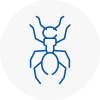 Ant Removals In Oakham