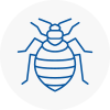 Bed Bug Extermination In Oakham