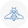 Bee Nest Removal Oakham
