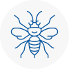 Oakham Hornet Nest Removals