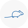 Mice Exterminators In Oakham