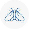 Moth Control Specialists In Oakham