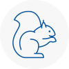 Oakham Rodent Removals